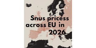 What influences snus price in 2026?